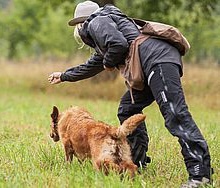 D86F583B-D4AA-4C45-A0C0-9387AF110E3C